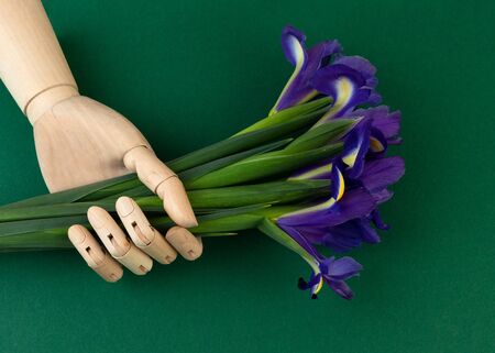 Wooden hand holds beautiful bouquet flowers of purple irises.の写真素材