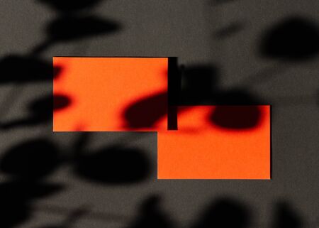 Blank business cards mockup with floral shadows overlays top view flat lay. Two empty red paper cards. Minimal composition.の写真素材