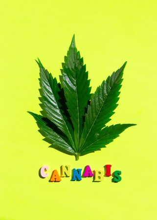 Multicolored funny word cannabis with a leaf of marijuana on a yellow background. Minimalistic composition.の写真素材