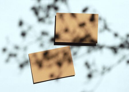 Blank business cards mockup with floral shadows overlays top view. Two empty paper cards. Minimal composition.の写真素材