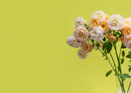 A bouquet of Pastel pink roses in a transparent glass vase on bright yellow background. Creative...