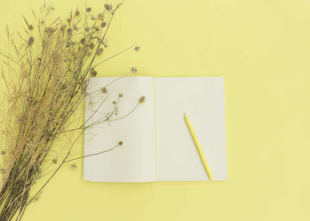 Autumn composition in yellow shades. Flat lay notepad and dry flowers. To do list Mock up Top viewの写真素材