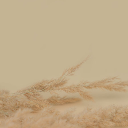 Stack of Brown cardboard boxes on mint background. Blank carton box. Gifts packaging concept. Craft box for gift or present on neutral backdrop. Shopping. Copy space.の写真素材