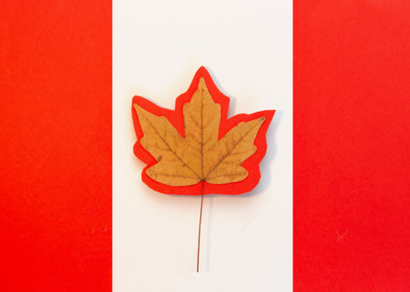 Maple leaf on a red paper background in the form of a flag. Flat layの写真素材