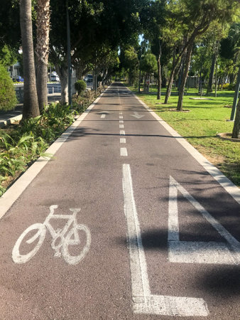 Empty reversible bike path for bicycles . Palm trees grow along the edge of the path. Vertical shot.の写真素材
