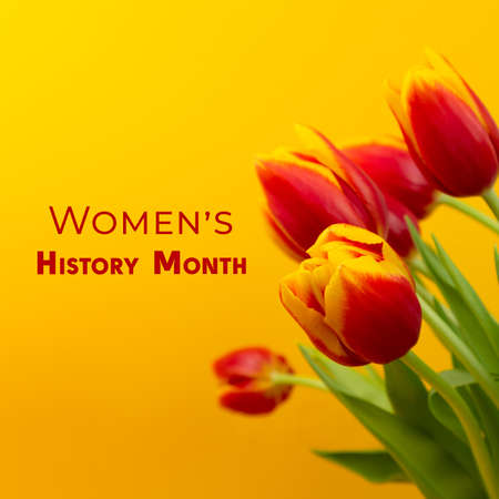 March is the month of womens history. Bouquet of yellow-red tulips with a female sign.の写真素材