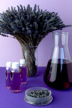 Lavender essential oil for stress relief, sleep and relaxation. Abstract chemical laboratory with glass flask, Petri dish and dried lavender flowers.の写真素材