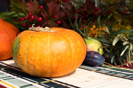 Fresh whole orange pumpkin and red viburnum fruits standing on a wooden table covered with a...