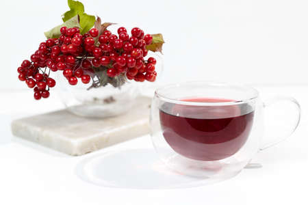 Red viburnum berries and a glass tea mug on a white background. Viburnum tea is a medicine for colds.の写真素材