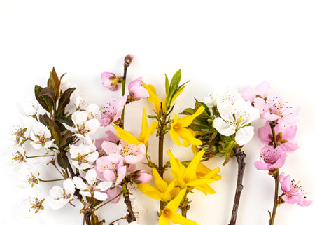 Bouquet of seasonal spring flowers. Sprigs of blossoming cherry, apricot, forsythia and muscari on a...