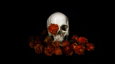 Skull, Burning candles and orange marigold flowers on black background. Concept of Dia de los muertos day or day of the dead. Dark halloween banner.の写真素材