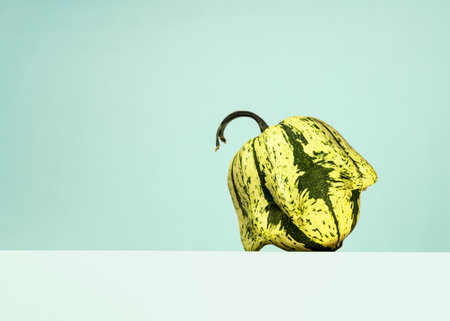 Small-fruited decorative Pumpkin. Ugly vegetables. Halloween design. Minimalistic composition. Autumn still life.の写真素材