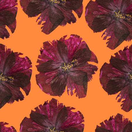 Seamless pattern of Hibiscus flowers on orange background. Minimalistic art for printing on fabric or wrapping paper. top viewの写真素材