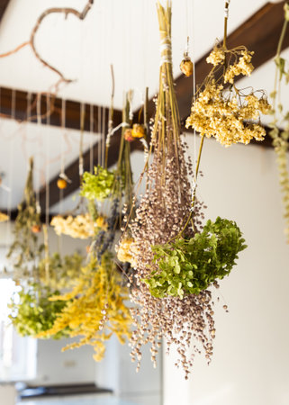 Various dry herbs were tied into bundles and hung on a rope. The basis for a homemade incense stick for the mental practice of mindfulness meditation. Boho style interior. vertical shotの写真素材