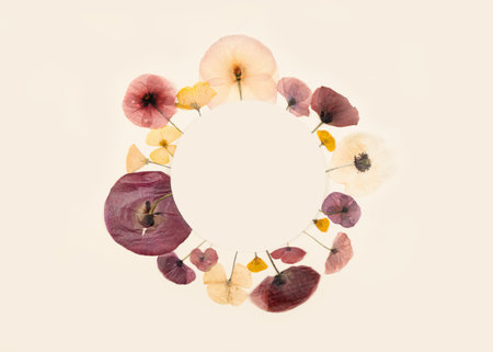 Composition pattern of pressed dried flowers of field poppies in the form of a circle. Place for text. Mockup for greeting card, wedding invitation.の写真素材