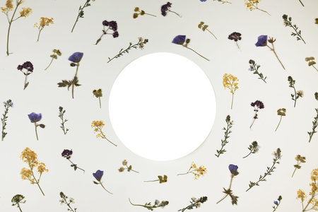 Pattern of pressed dried wildflowers with place for text in the form of a circle. Mockup for...