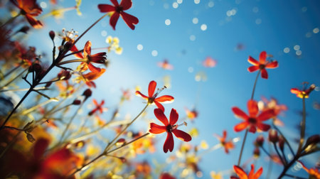flying exclusive flowers against the background of the summer sky, bottom viewの素材