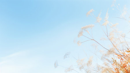 Spring abstract background of fresh colorful meadow flowers in the air. On clear blue sky, plant nature concept.の素材
