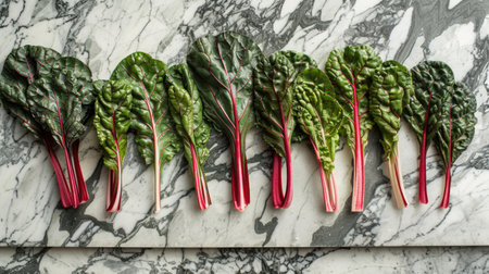Artistic Composition of Raw Swiss Chard Leaves Fanned Out on Marble Countertop with Dramatic Lighting Highlighting Vibrant Colors and Veined Texture - Oxalate Awareness.の素材