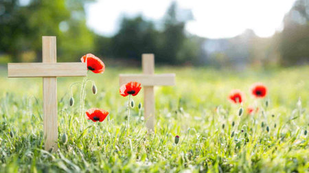 Wooden remembrance crosses placed among vibrant red poppies in lush green grass symbolizing a heartfelt memorial and tribute in a serene settingの素材