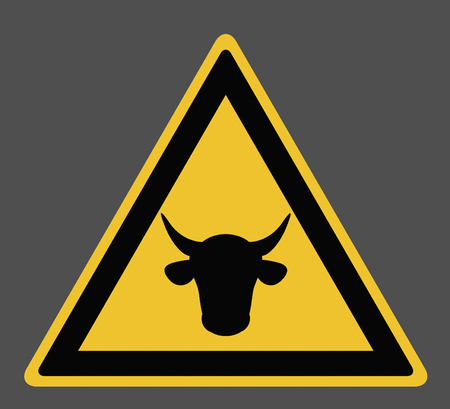 Warning yellow sign cow on a gray background.の写真素材
