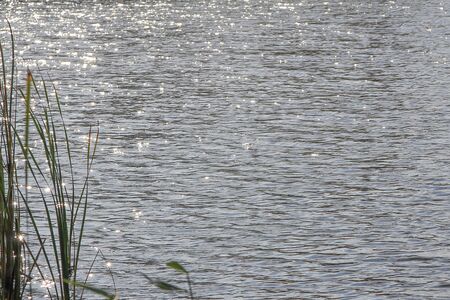 Natural pond lake in the afternoon in the countryside.の写真素材