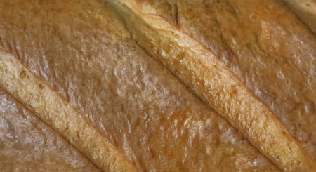 The crust texture of baked fresh bread.