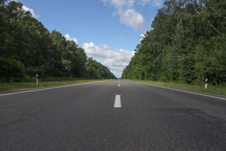 An asphalt road in a forest in Europe without cars.の写真素材