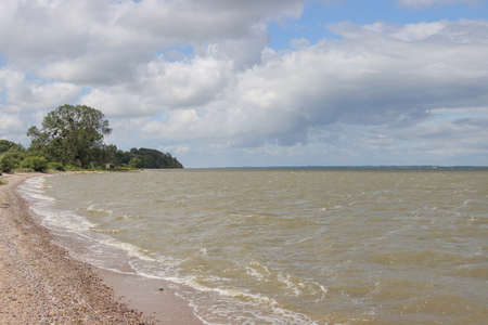The landscape of the coastline of the Kaliningrad Bay.の写真素材