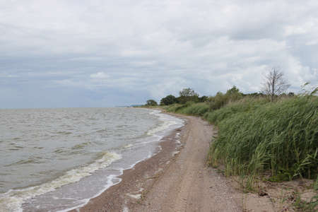 The landscape of the coastline of the Kaliningrad Bay.の写真素材
