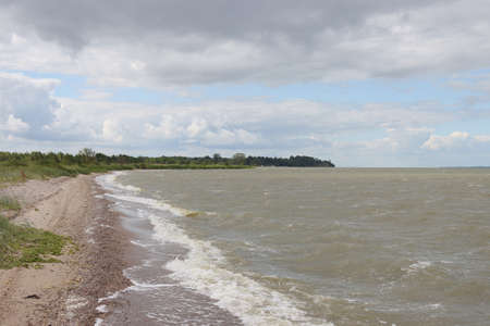 The landscape of the coastline of the Kaliningrad Bay.の写真素材