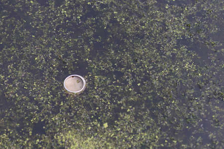Pollution of the environment and water bodies.の写真素材