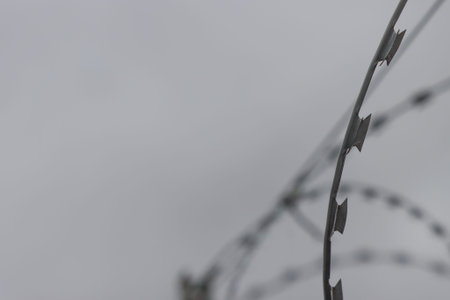 Metal barbed wire against a cloudy sky.