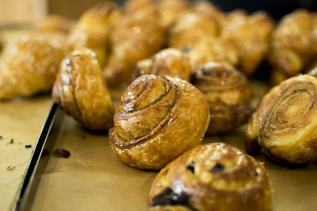 Fresh pastries - chocolate pretzelの写真素材