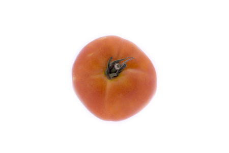 Realistic tomato with a tail on a white backgroundの写真素材