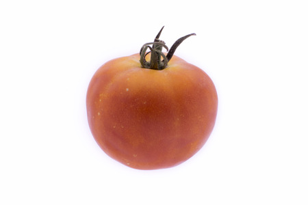 Realistic tomato with a tail on a white backgroundの写真素材