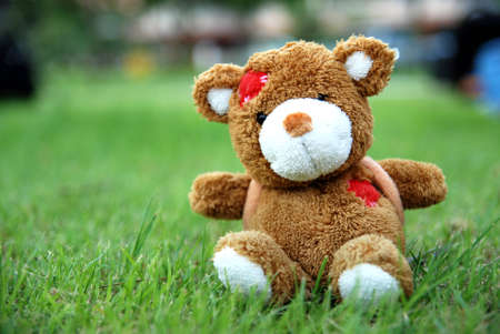 teddy bearの写真素材