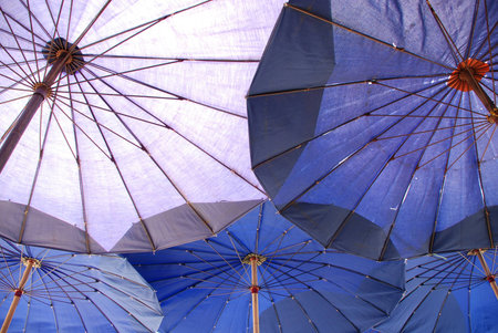 umbrella