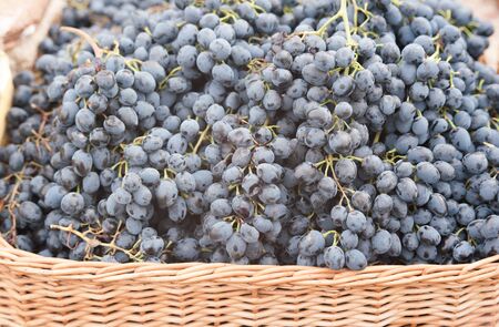fresh blue grapes in a straw basketの写真素材