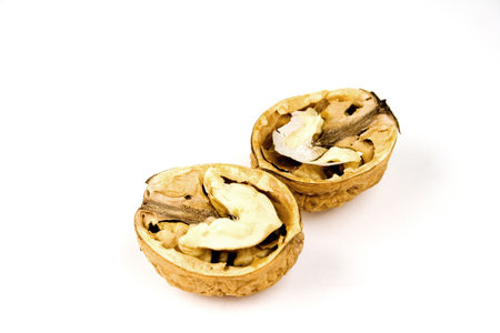 Nuts in composition  isolated