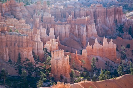 Sunrise on the hoodoos in Bryce Canyon National Park, Utah.の写真素材