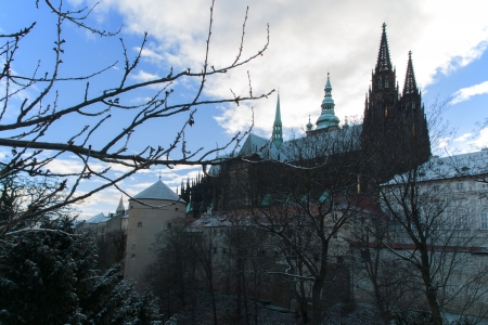 Ancient castle in the city of Prague surrounded with a deep ditch and branches of trees のeditorial素材