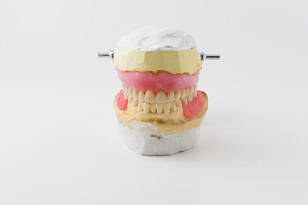 the artificial dentures made in dental laboratoryの写真素材