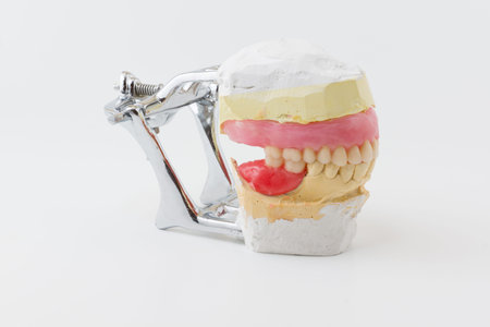 the artificial dentures made in dental laboratory