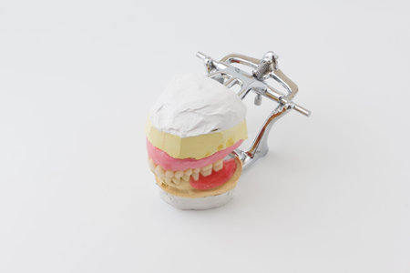 the artificial dentures made in dental laboratory