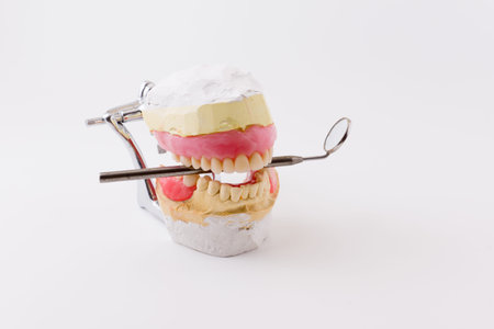 the artificial dentures made in dental laboratory