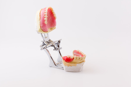 the artificial dentures made in dental laboratoryの写真素材