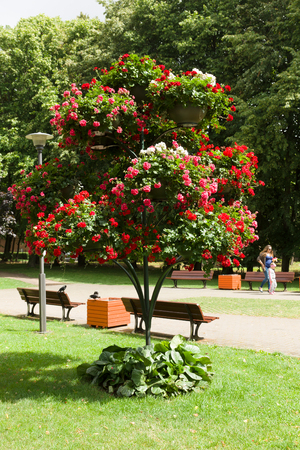 PALANGA, LITHUANIA - AUGUST 08,2015: In the streets of Palanga. Palanga is the largest resort town in Lithuania.のeditorial素材