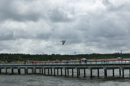 PALANGA, LITHUANIA - AUGUST 08,2015: Marine pier with a strolling tourists in the city of Palanga.Palanga is one of the main tourist towns in Lithuania.のeditorial素材