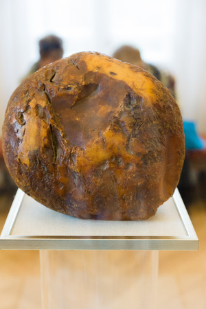 Palanga, Lithuania - August 1, 2015: the exhibits in the museum of amber. Amber Museum is located in the heart of the Botanical Park pledged by the French landscape architect E. Andre in the late 19th century.のeditorial素材